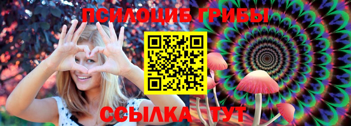 Михайловск  Галлюциногенные грибы ЛСД  Галлюциногенные грибы мицелий  Вход с VPN 